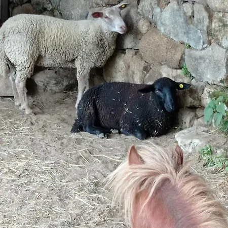 Prázdninový dům Ferme De Fenivou *